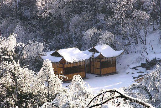【文明实践】助力冰雪旅游 香坊区志愿者走进中国（哈尔滨）森林博物馆