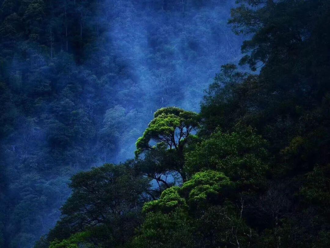 清理脏乱的宫殿