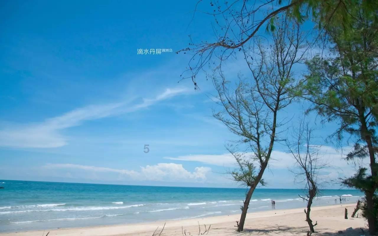 拯救蝙蝠家族